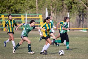 IMG_3525