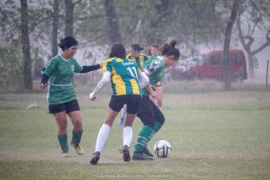 IMG_3581
