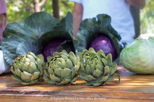 20231124112543_IMG_0313