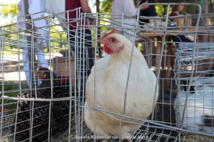 20231124112918_IMG_0317