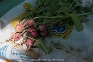 20231124114233_IMG_0326