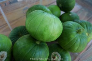 20240119110543_IMG_5300