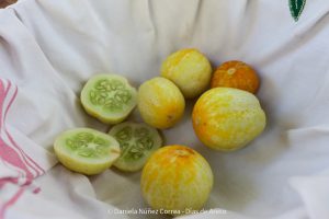 20240119111432_IMG_5327