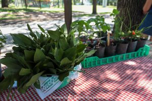 20240119111446_IMG_5328