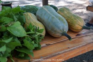 20240216103229_IMG_9911