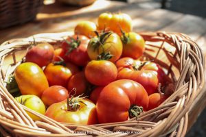 20240216103422_IMG_9912