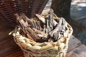 20240216103435_IMG_9913