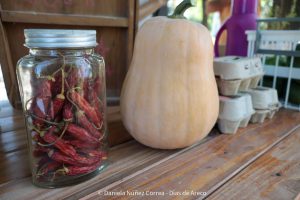 20240216103448_IMG_9914