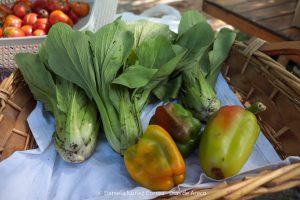 20240216103506_IMG_9915