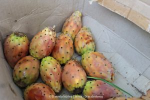 20240216104111_IMG_9921