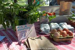 20240216104140_IMG_9922