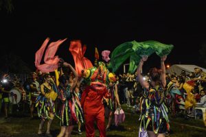 52971435_2364748580225430_7714429143915429888_n