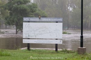 20240316100624_IMG_7654