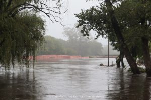 20240316100931_IMG_7665