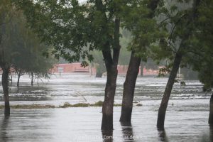 20240316102139_IMG_7693