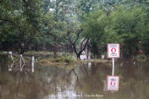 20240316102421_IMG_7702