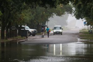 20240316102621_IMG_7708