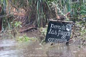 20240316102758_IMG_7714