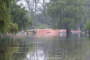 20240316104219_IMG_7730