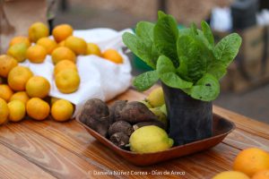 20230531101244_IMG_0150