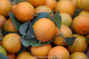 20230531101351_IMG_0157