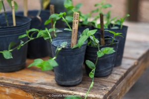 20230531101503_IMG_0163