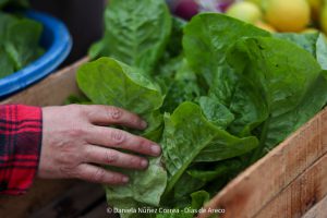 20230531101946_IMG_0170