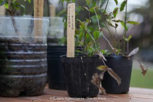 20230531102034_IMG_0172