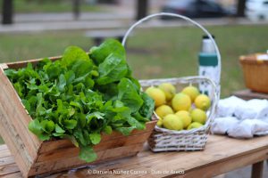 20230531102340_IMG_0173