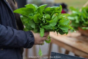 20230531103912_IMG_0193