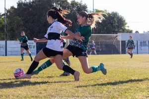 IMG_0259