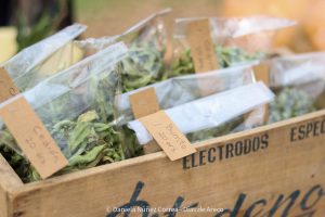 20230614111109_IMG_7044