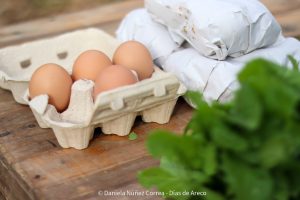 20230614111325_IMG_7057