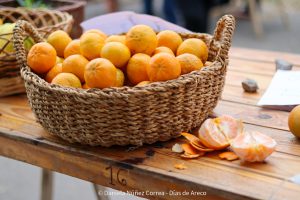 20230614113318_IMG_7083