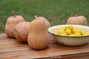 20230614113508_IMG_7094