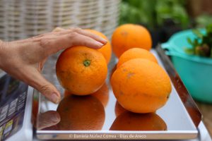 20230614114215_IMG_7108