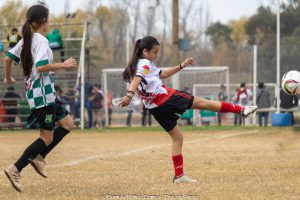 IMG_3660