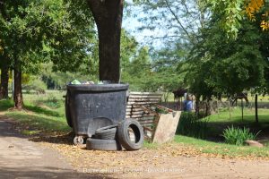 IMG_3214 (1)