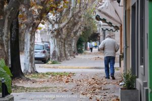 Areco en alerta amarillo por bajas temperaturas