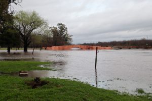 La lluvia acumulada alcanza los 100 mm y el río está desbordado en partes de la costanera