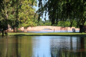 IMG_2498