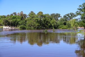 IMG_2507