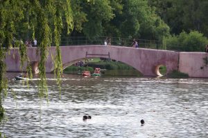 En febrero 2026 llovió un tercio de lo que llovió en el mismo mes de 2025