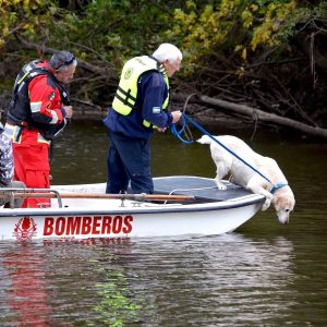 Falleció Belén, perra de búsqueda de la Brigada K9 de bomberos de Areco