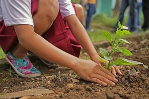 UNSADA abre inscripción a programa de jardinería y mantenimiento de arbolado