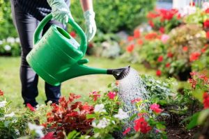 La UNSADA presenta un ciclo de seminarios de jardinería